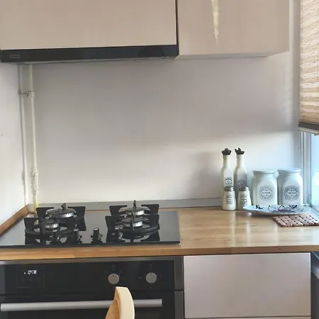 Cozy - Centrul Civic Apartment *