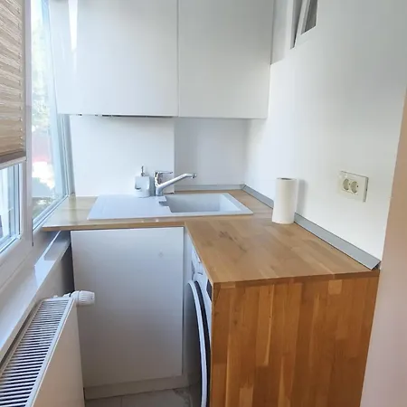 Apartment Cozy - Centrul Civic *