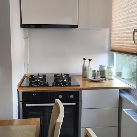 Apartment Cozy - Centrul Civic